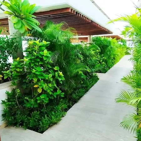 Martinique - Hermoso Con Jacuzzi En El Balcon! *