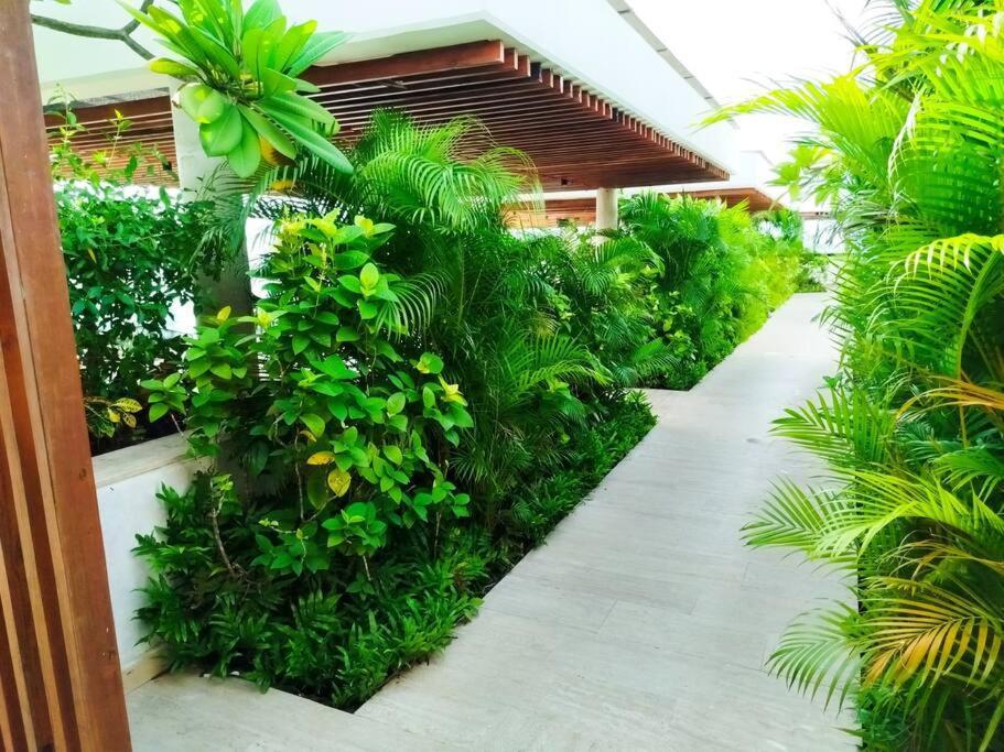 Martinique - Hermoso Con Jacuzzi En El Balcon! *